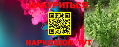 тгк Гатчина