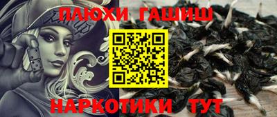 тгк Гатчина