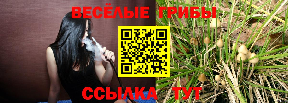 Галлюциногенные грибы мицелий  Вход с VPN  Ивантеевка  Галлюциногенные грибы ЛСД 
